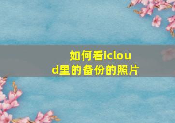 如何看icloud里的备份的照片