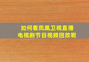 如何看凤凰卫视直播电视剧节目视频回放呢