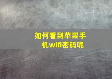 如何看到苹果手机wifi密码呢