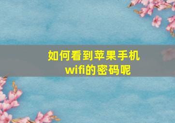 如何看到苹果手机wifi的密码呢