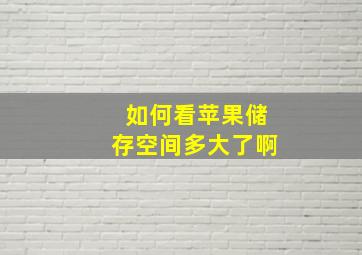 如何看苹果储存空间多大了啊