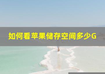 如何看苹果储存空间多少G