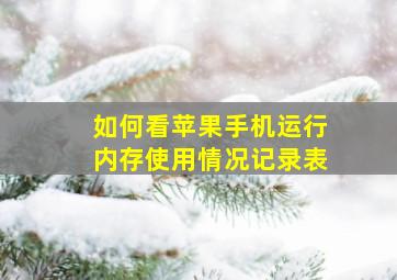 如何看苹果手机运行内存使用情况记录表