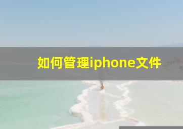 如何管理iphone文件