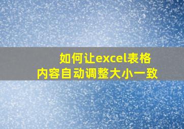 如何让excel表格内容自动调整大小一致