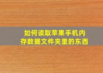 如何读取苹果手机内存数据文件夹里的东西