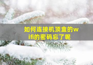 如何连接机顶盒的wifi的密码忘了呢