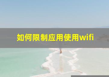 如何限制应用使用wifi