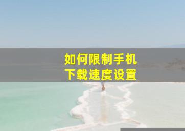 如何限制手机下载速度设置