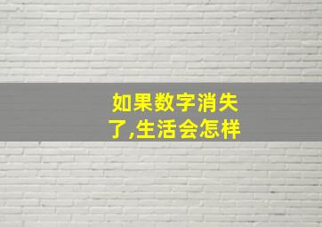 如果数字消失了,生活会怎样