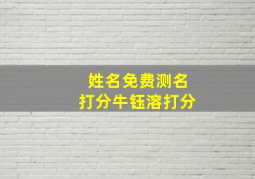 姓名免费测名打分牛钰溶打分