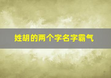 姓胡的两个字名字霸气