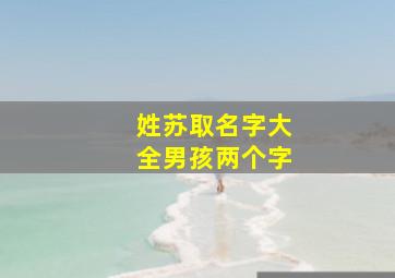 姓苏取名字大全男孩两个字