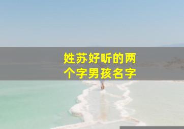 姓苏好听的两个字男孩名字