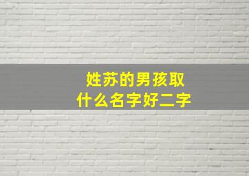 姓苏的男孩取什么名字好二字