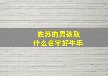 姓苏的男孩取什么名字好牛年