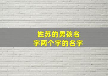 姓苏的男孩名字两个字的名字