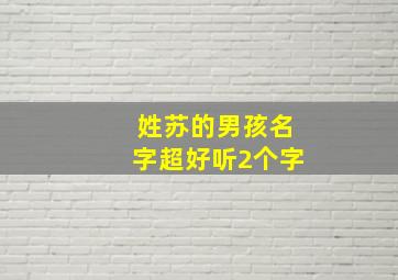 姓苏的男孩名字超好听2个字