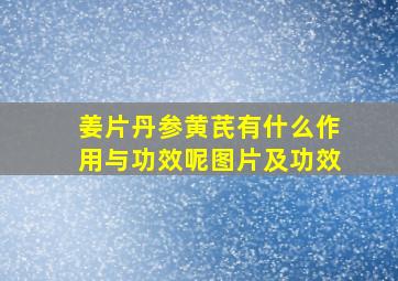 姜片丹参黄芪有什么作用与功效呢图片及功效