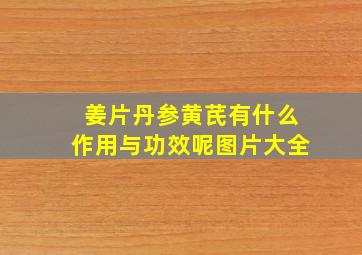 姜片丹参黄芪有什么作用与功效呢图片大全