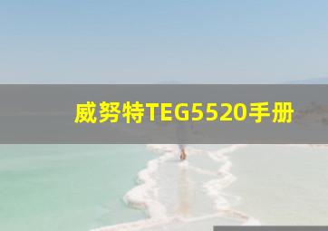 威努特TEG5520手册