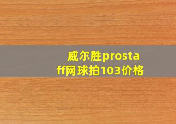 威尔胜prostaff网球拍103价格