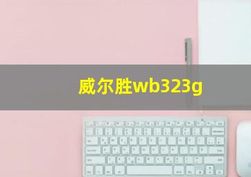 威尔胜wb323g