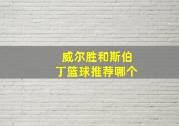 威尔胜和斯伯丁篮球推荐哪个