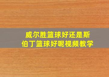 威尔胜篮球好还是斯伯丁篮球好呢视频教学