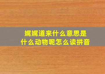 娓娓道来什么意思是什么动物呢怎么读拼音