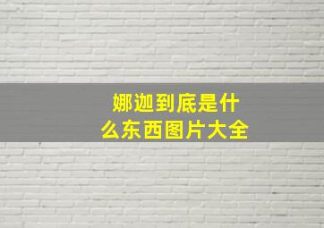 娜迦到底是什么东西图片大全