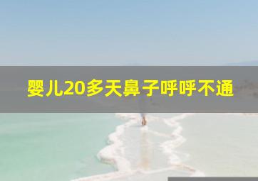 婴儿20多天鼻子呼呼不通