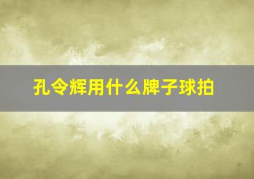 孔令辉用什么牌子球拍