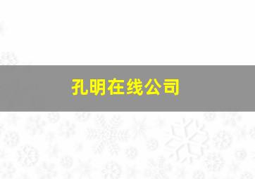 孔明在线公司