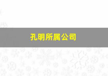 孔明所属公司