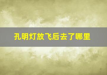 孔明灯放飞后去了哪里