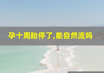 孕十周胎停了,能自然流吗