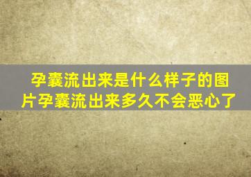 孕囊流出来是什么样子的图片孕囊流出来多久不会恶心了