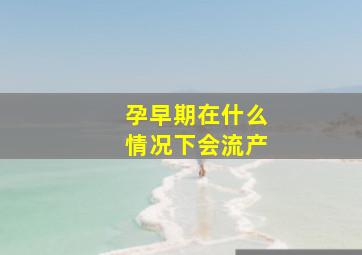 孕早期在什么情况下会流产