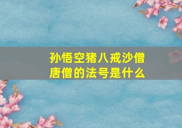 孙悟空猪八戒沙僧唐僧的法号是什么