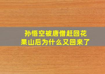 孙悟空被唐僧赶回花果山后为什么又回来了