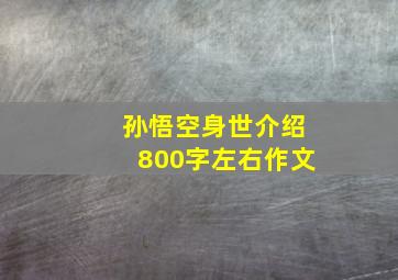 孙悟空身世介绍800字左右作文