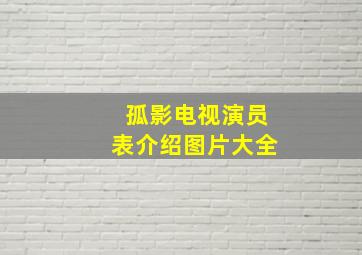 孤影电视演员表介绍图片大全