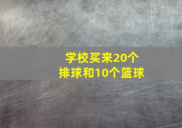 学校买来20个排球和10个篮球