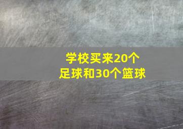 学校买来20个足球和30个篮球