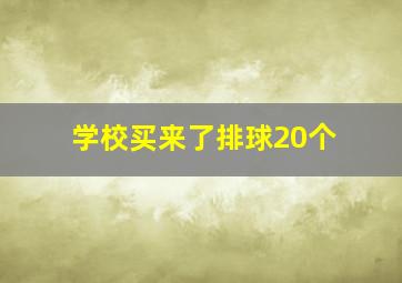 学校买来了排球20个