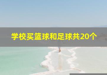 学校买篮球和足球共20个