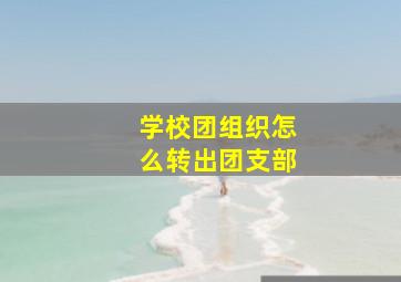 学校团组织怎么转出团支部