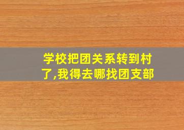 学校把团关系转到村了,我得去哪找团支部