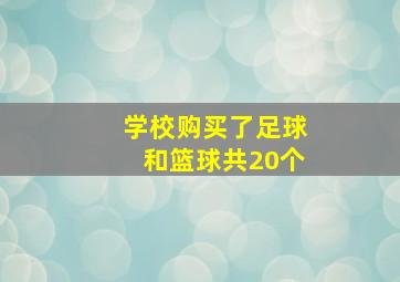 学校购买了足球和篮球共20个